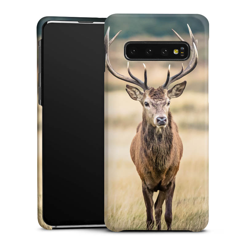 Galaxy S10 Handy Premium Case Smartphone Handyhülle Schutzhülle matt Deer Meadow Forrest Premium Case