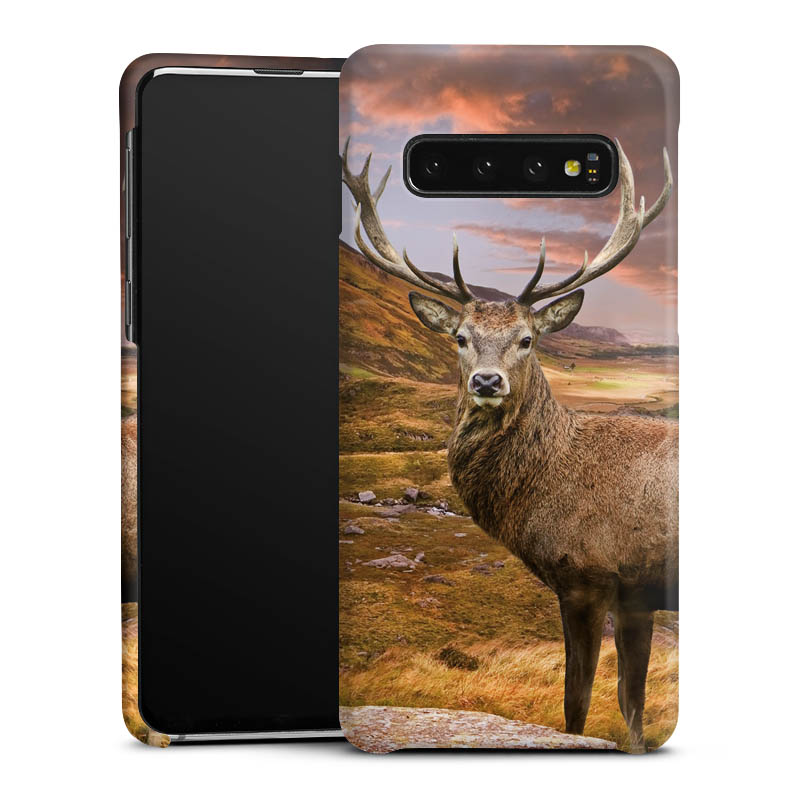 Galaxy S10 Handy Premium Case Smartphone Handyhülle Schutzhülle matt Meadow Mountain Deer Premium Case