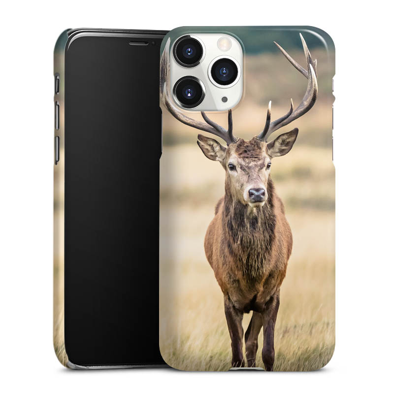 iPhone 11 Pro Handy Premium Case Smartphone Handyhülle Schutzhülle glänzend Deer Meadow Forrest Premium Case