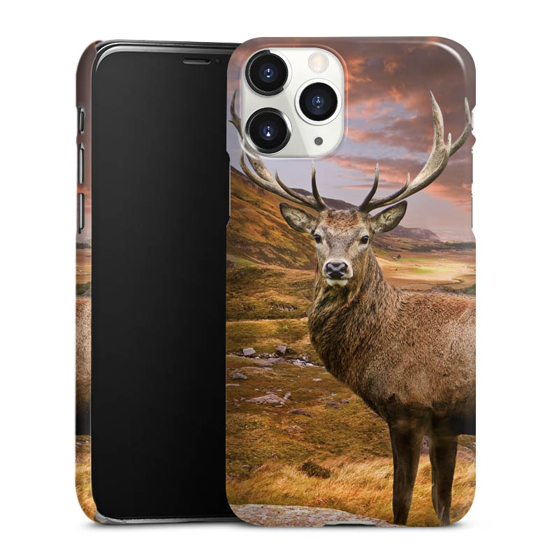 iPhone 11 Pro Handy Premium Case Smartphone Handyhülle Schutzhülle glänzend Meadow Mountain Deer Premium Case