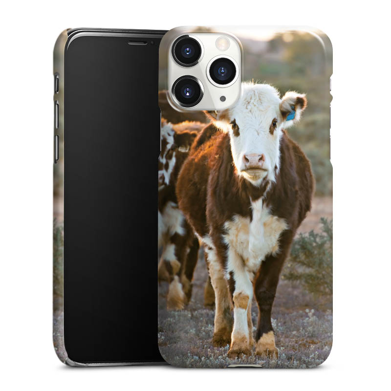 iPhone 11 Pro Handy Premium Case Smartphone Handyhülle Schutzhülle glänzend Cow Farmer Calf Premium Case