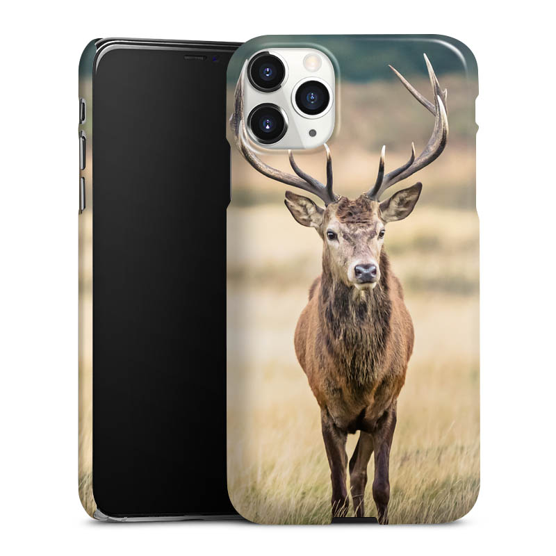 iPhone 11 Pro Max Handy Premium Case Smartphone Handyhülle Schutzhülle glänzend Deer Meadow Forrest Premium Case