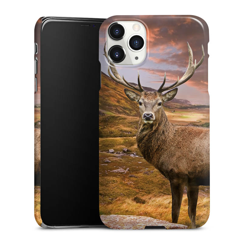 iPhone 11 Pro Max Handy Premium Case Smartphone Handyhülle Schutzhülle glänzend Meadow Mountain Deer Premium Case