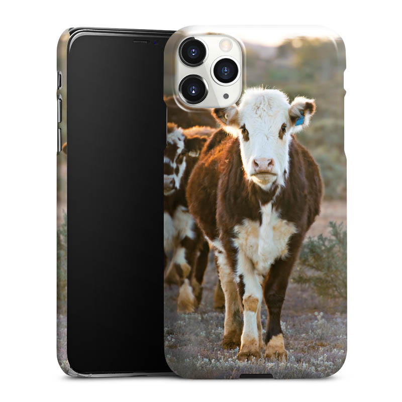 iPhone 11 Pro Max Handy Premium Case Smartphone Handyhülle Schutzhülle glänzend Cow Farmer Calf Premium Case