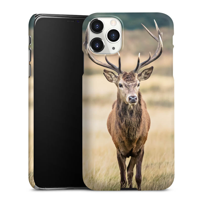 iPhone 11 Pro Max Handy Premium Case Smartphone Handyhülle Schutzhülle matt Deer Meadow Forrest Premium Case